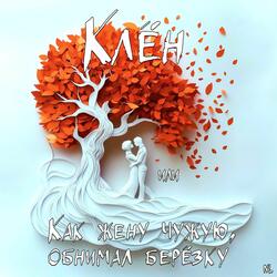 Клён или Как жену чужую, обнимал берёзку