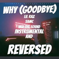 Why (Goodbye) (Reversed)