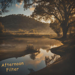Afternoon Filter