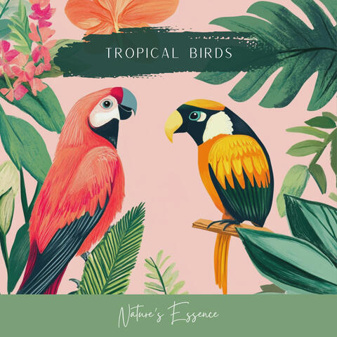 Tropical Birds