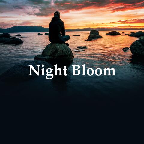 Night Bloom
