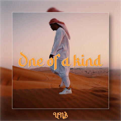 One of a Kind