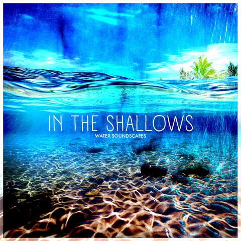 In the Shallows