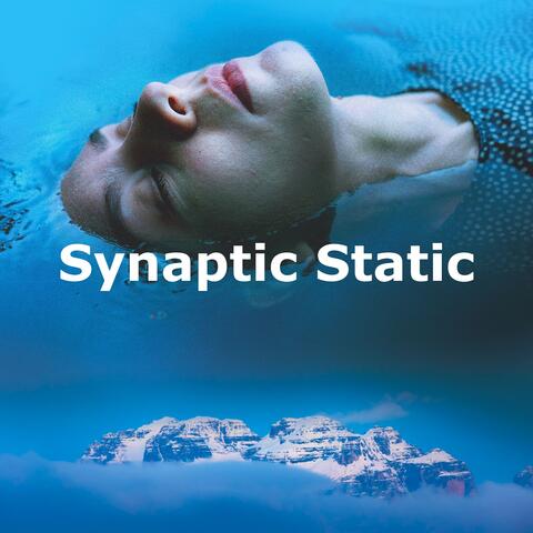 Synaptic Static