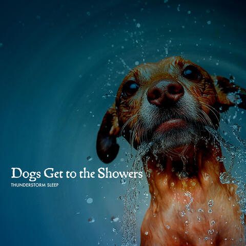 Dogs Get to the Showers