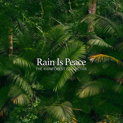 Rain Is Peace