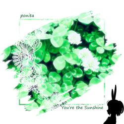 You're the Sunshine