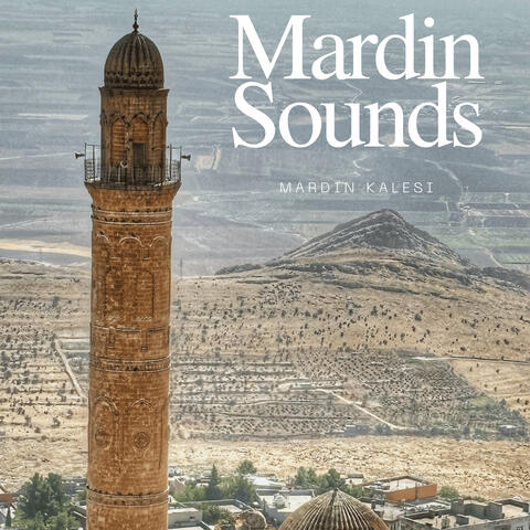 Mardin Kalesi