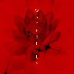 WATERLILY