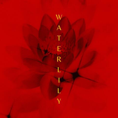 WATERLILY
