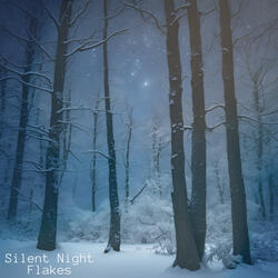Silent Night Flakes