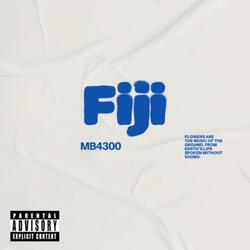 4300 Flow
