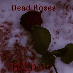 Dead Roses