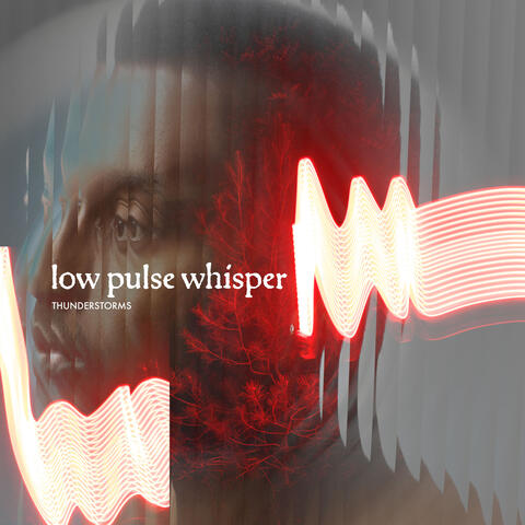 Low Pulse Whisper