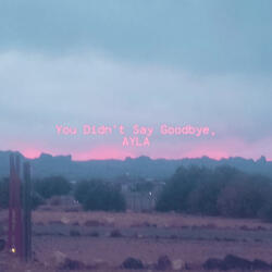 You Didn't Say Goodbye.