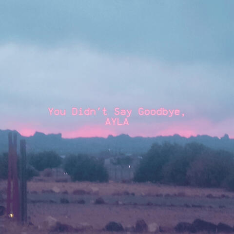 You Didn't Say Goodbye.
