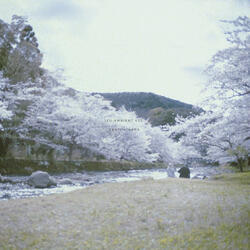 Izu Ambient 022