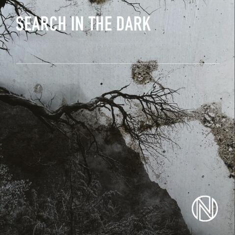 Search In The Dark