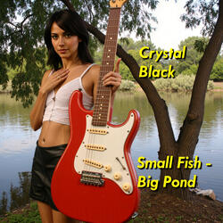 Small Fish - Big Pond