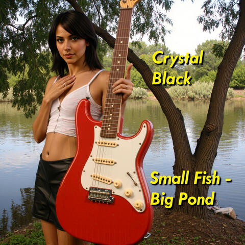 Small Fish - Big Pond