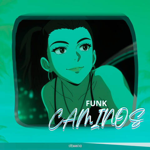 Funk Caminos