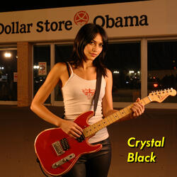 Dollar Store Obama