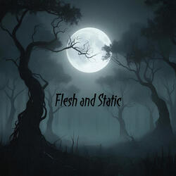 Flesh and Static