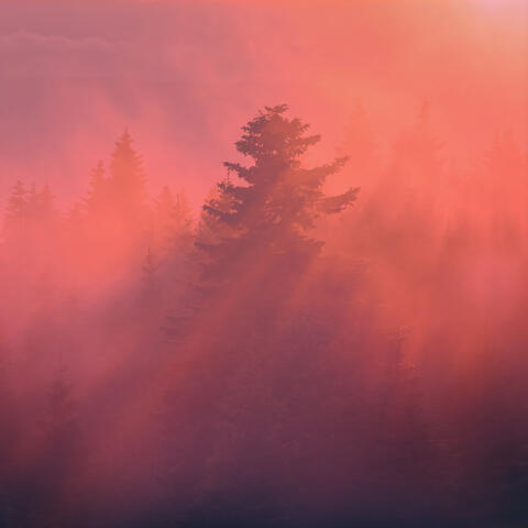 Temple of the Setting Sun