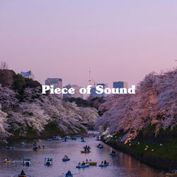 さくら、ひとしずく A Single Drop of Sakura