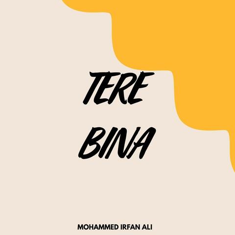 Tere Bina
