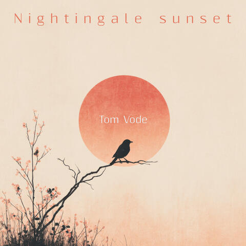 Nightingale sunset