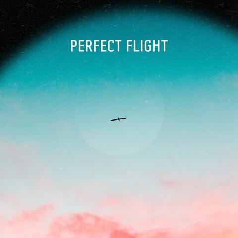 Perfect Flıght