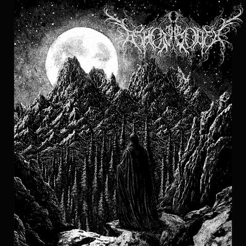 Mystic Wilderness