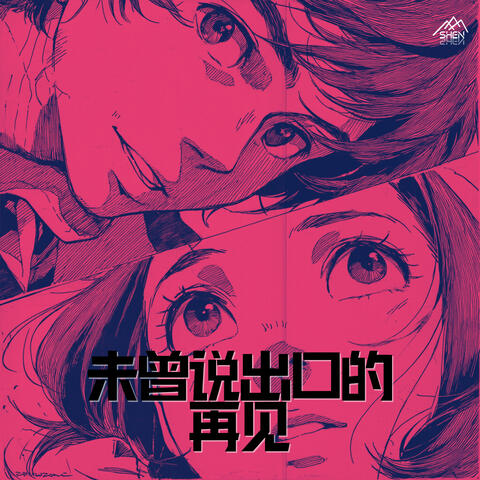 未曾说出口的再见