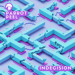 Indecision