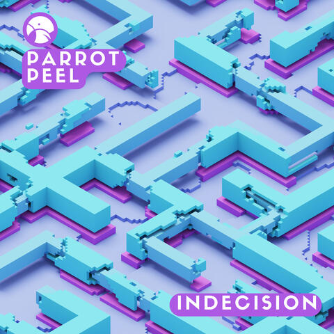Indecision