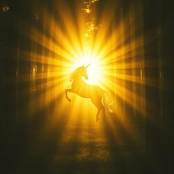 Golden Glow in the Forest