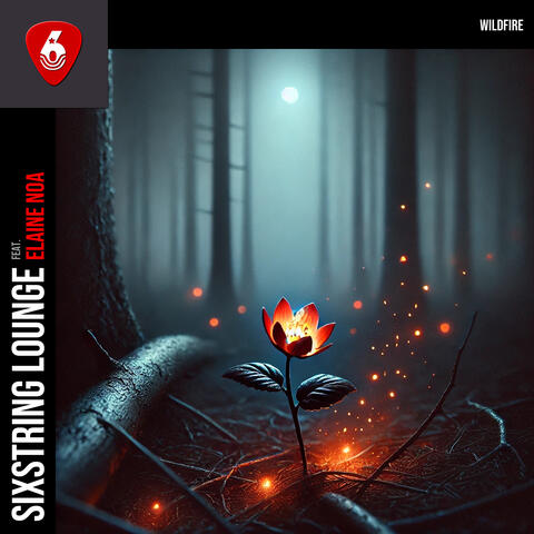 Wildfire