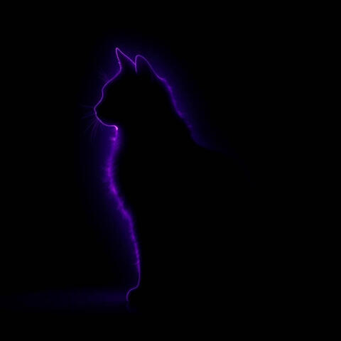 A Light Goes Out