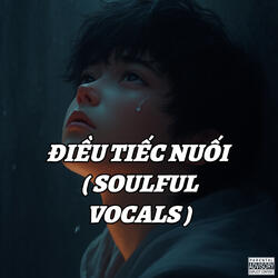 Điều Tiếc Nuối (Soulful Vocals)