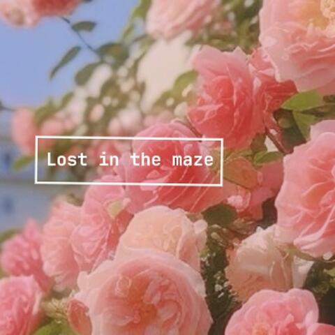 Lost in the Maze