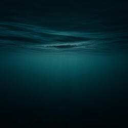 Entangled In Euphoria