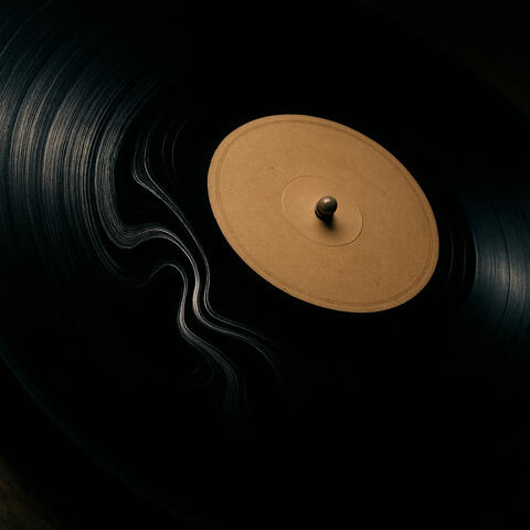 1 Analog: A Warp In The Groove