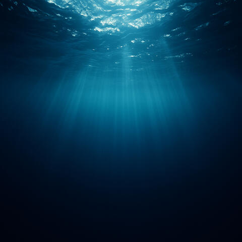 50 Oceanic Melodies :Aquatic Tones