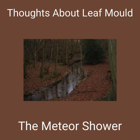 Thoughts About Leaf Mould