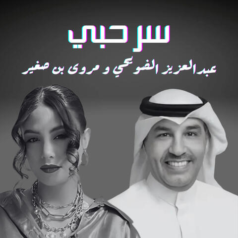 سر حبي