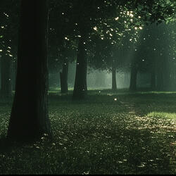 Steps Through Lights