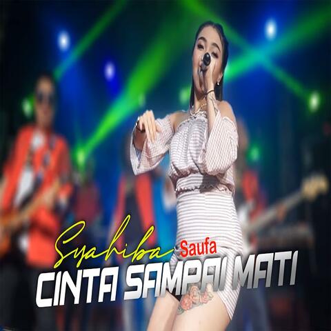 Cinta Sampai Mati