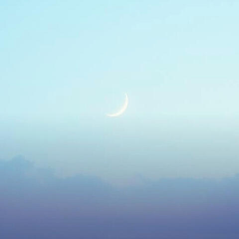 Whisper of moon