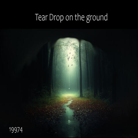 Tear Drop On The Ground - 19974